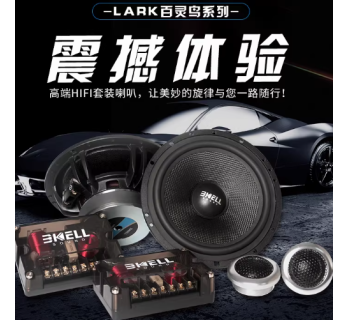 霸克LA6.2两分频