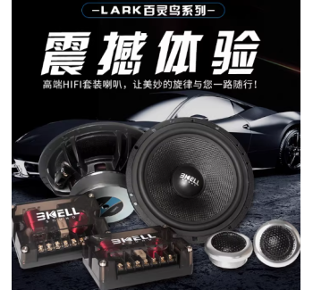 霸克LA6.2两分频