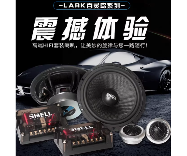 霸克LA6.2两分频