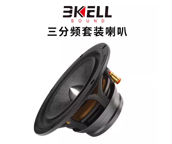 霸克十周年三分频