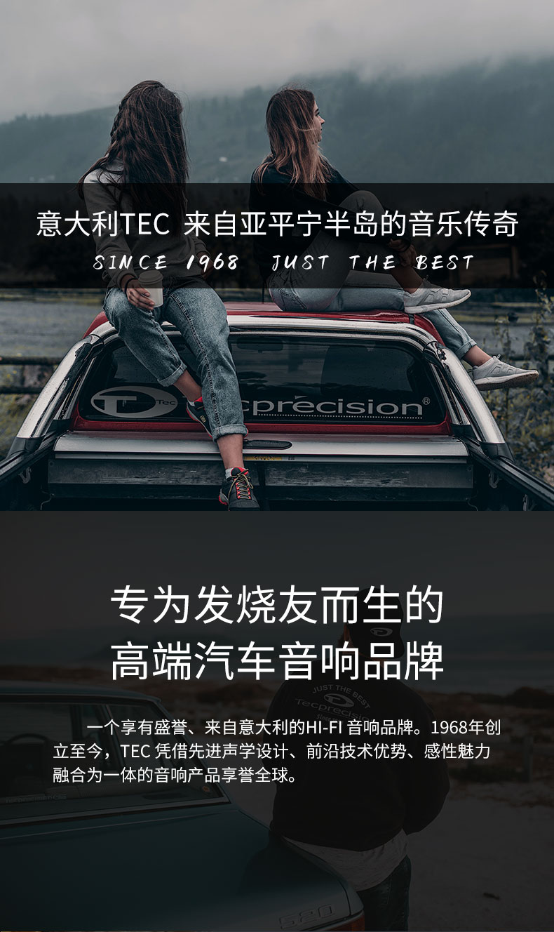 TEC MA 10D2 战神箱体低音炮