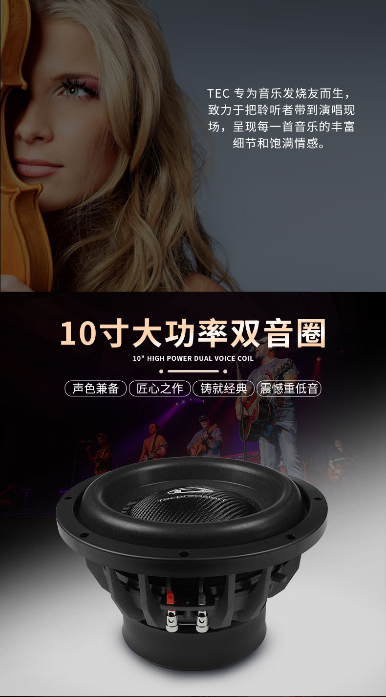 TEC MA 10D2 战神箱体低音炮