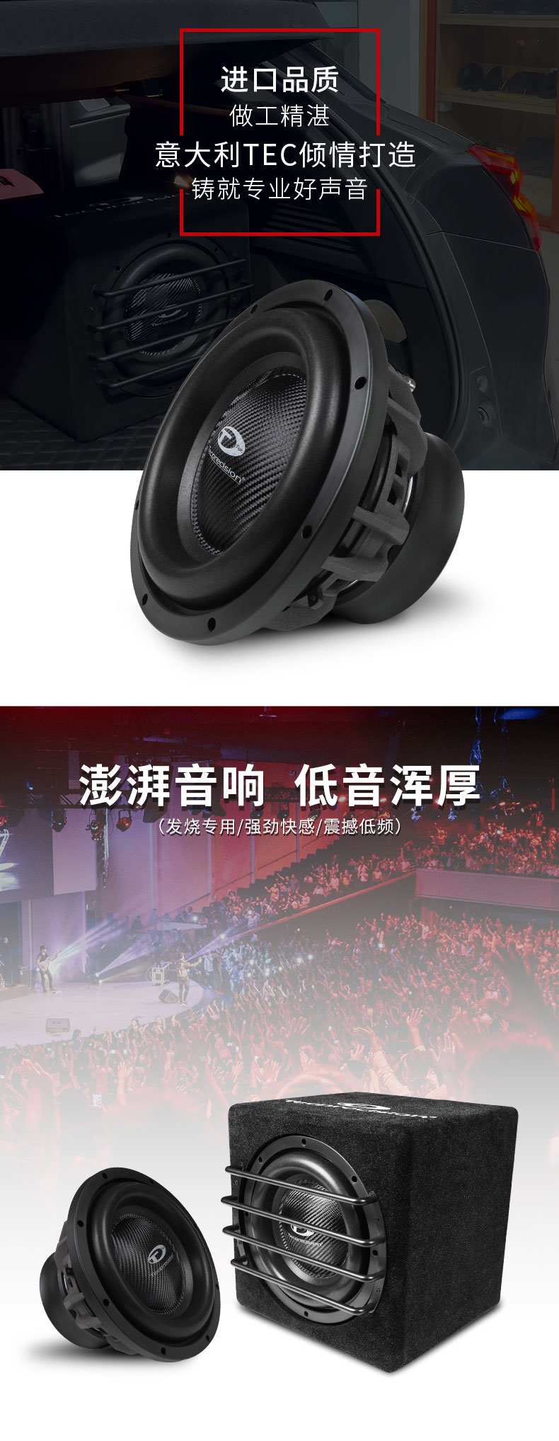 TEC MA 10D2 战神箱体低音炮