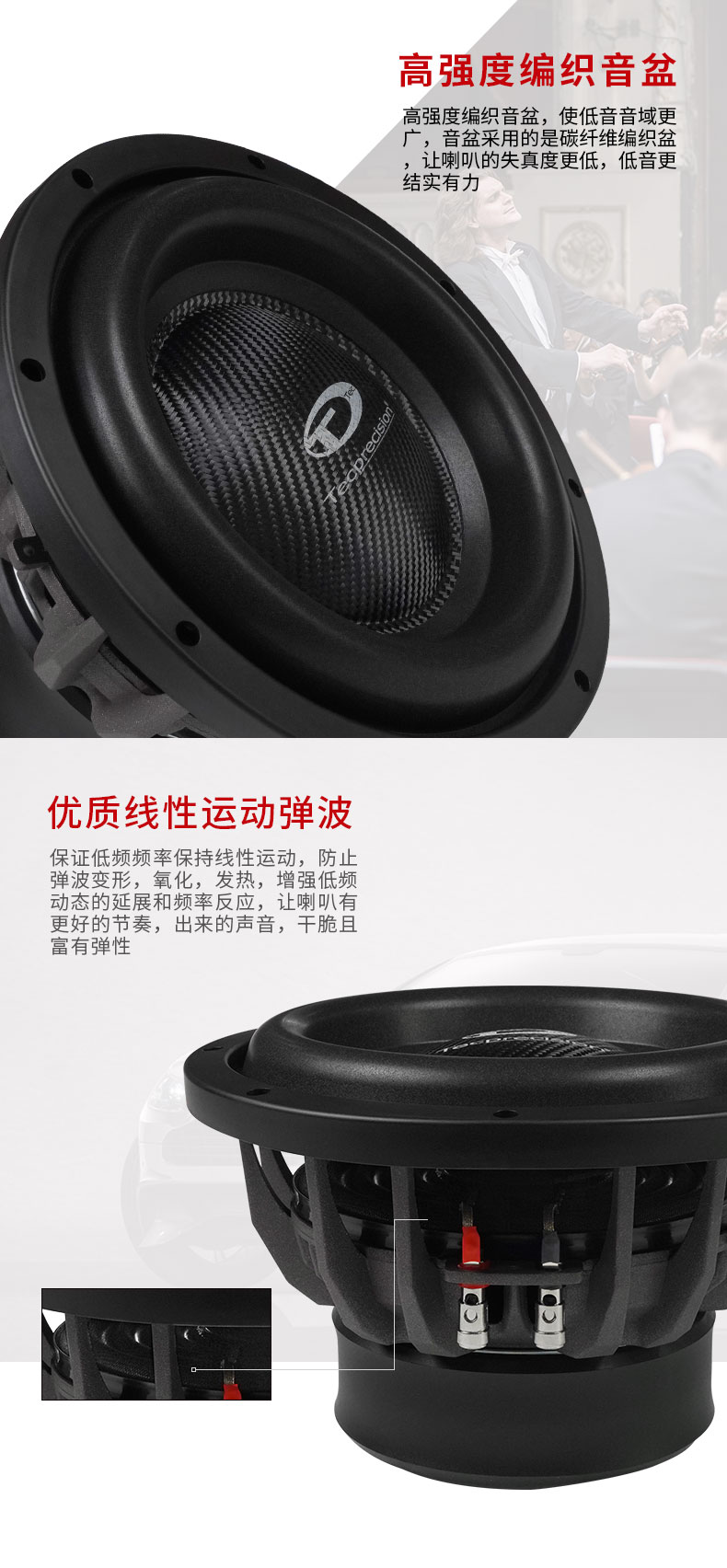 TEC MA 10D2 战神箱体低音炮