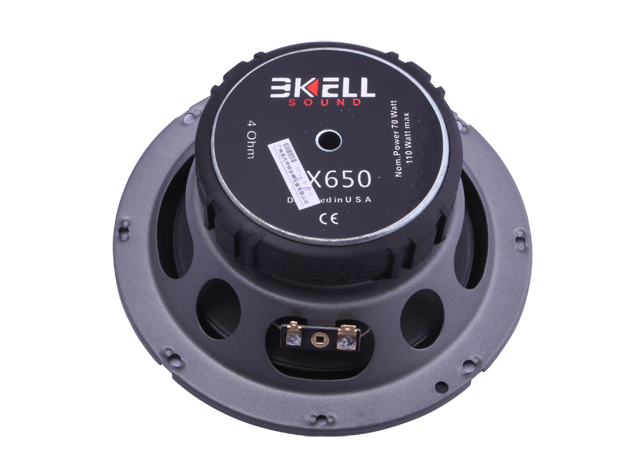 美国BKELL（霸克）DX650两分频套喇叭